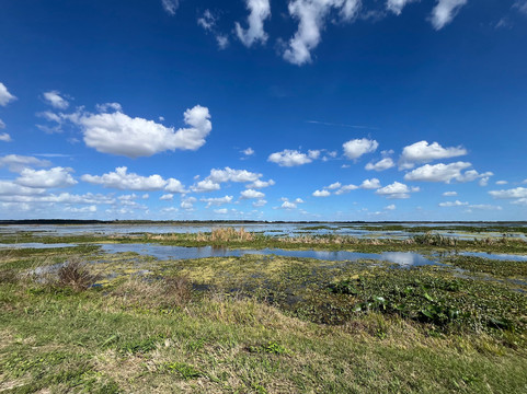 Lake Apopka Wildlife Drive-Apopka必去景点