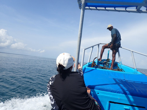 Afro Whale Shark Safari-马菲亚岛必去景点
