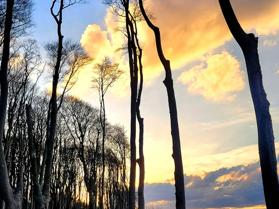 Gespensterwald-Nienhagen必去景点