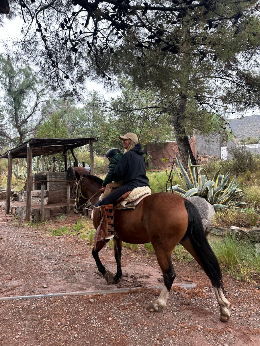 San Ignacio Estancia Andina-官方