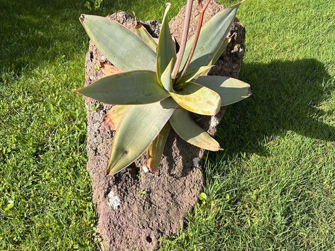 Casa Villamarina主图