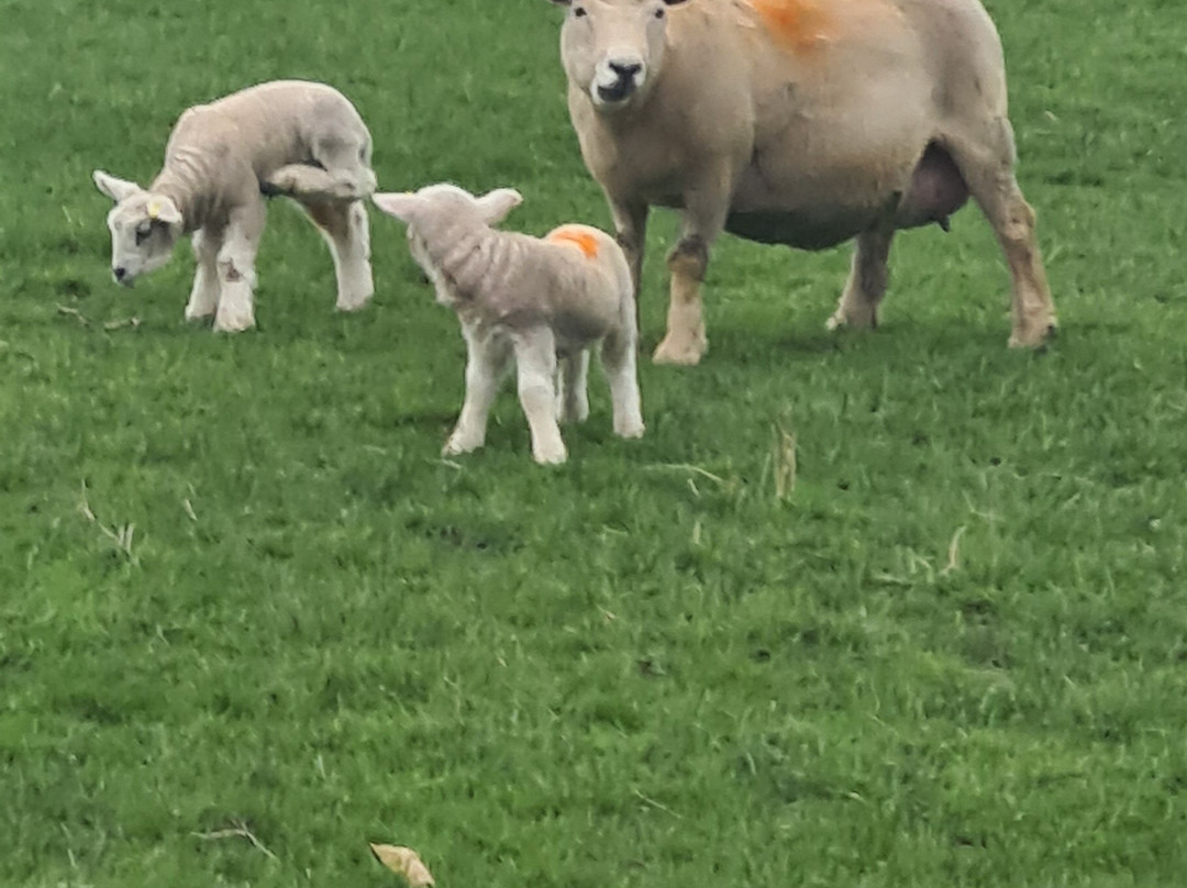 佩尼亚斯阿姆酒店主图