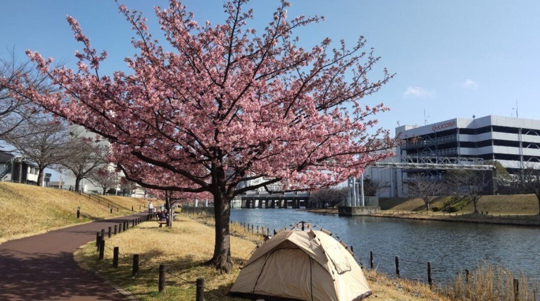 Kyunaka River-墨田区必去景点