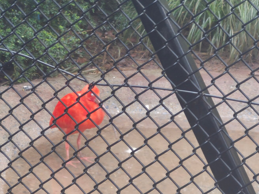Paignton Zoo Environmental Park-佩恩顿必去景点
