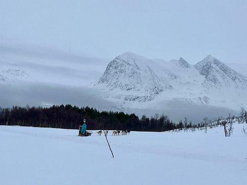 Kvaløya Husky-特罗姆瑟必去景点