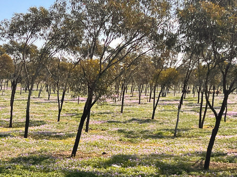 Mountain Desert Tours-马拉喀什必去景点