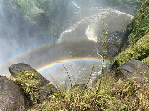 GoLocal-维多利亚瀑布必去景点
