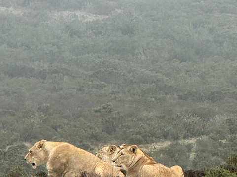 Yengwa Tours & Adventures-克尼斯纳必去景点