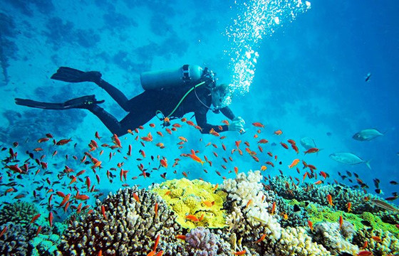 Pidurangala Royal Cave Temple-丹布拉必去景点