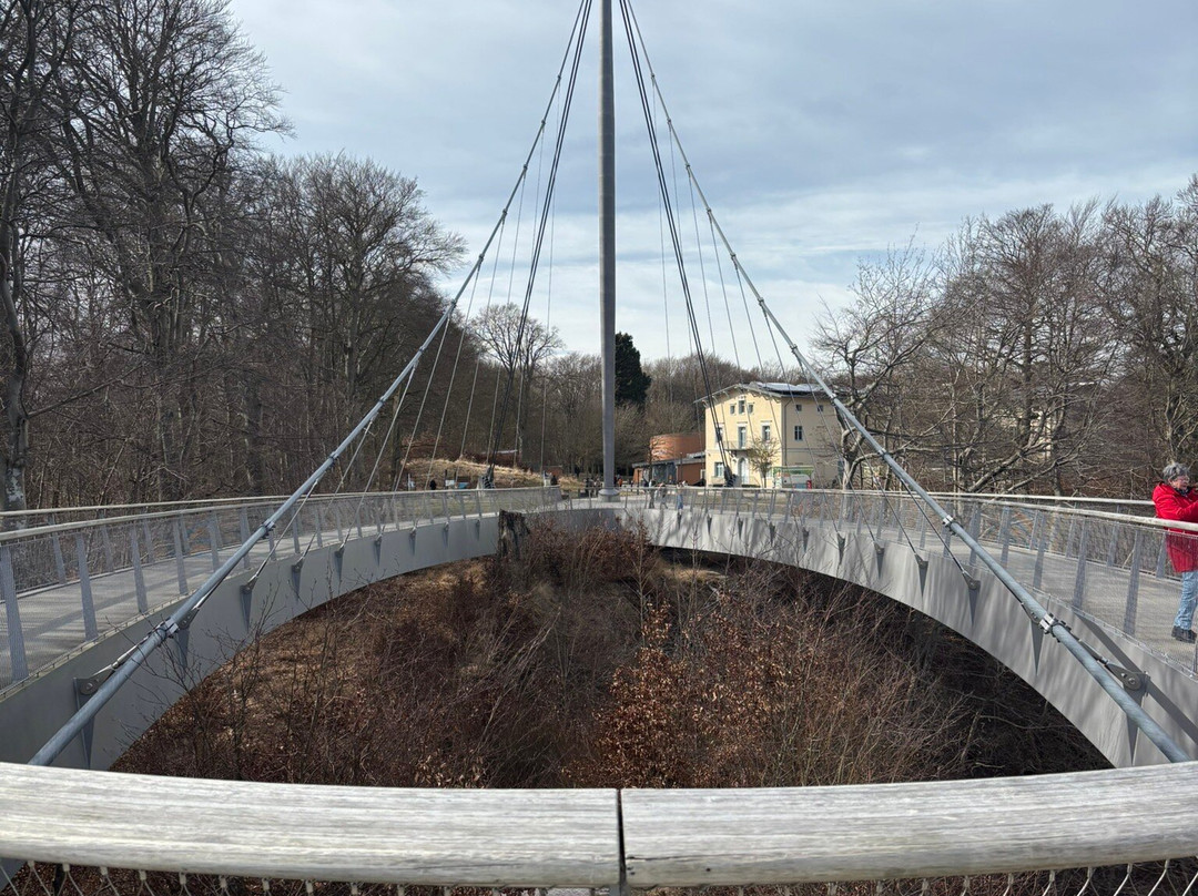 Kreidefelsen-萨斯尼茨必去景点