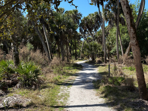 Myakka River State Park-萨拉索塔必去景点