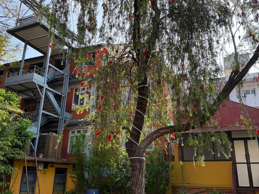 皇家道夫饭店主图