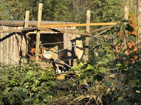 Newquay Zoo-纽奎必去景点