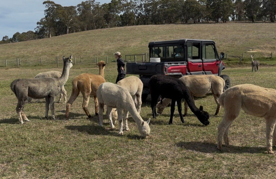 Softfoot Farm & Wildlife Park-Hindmarsh Valley必去景点