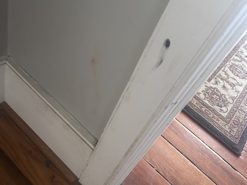 博福特旅馆主图