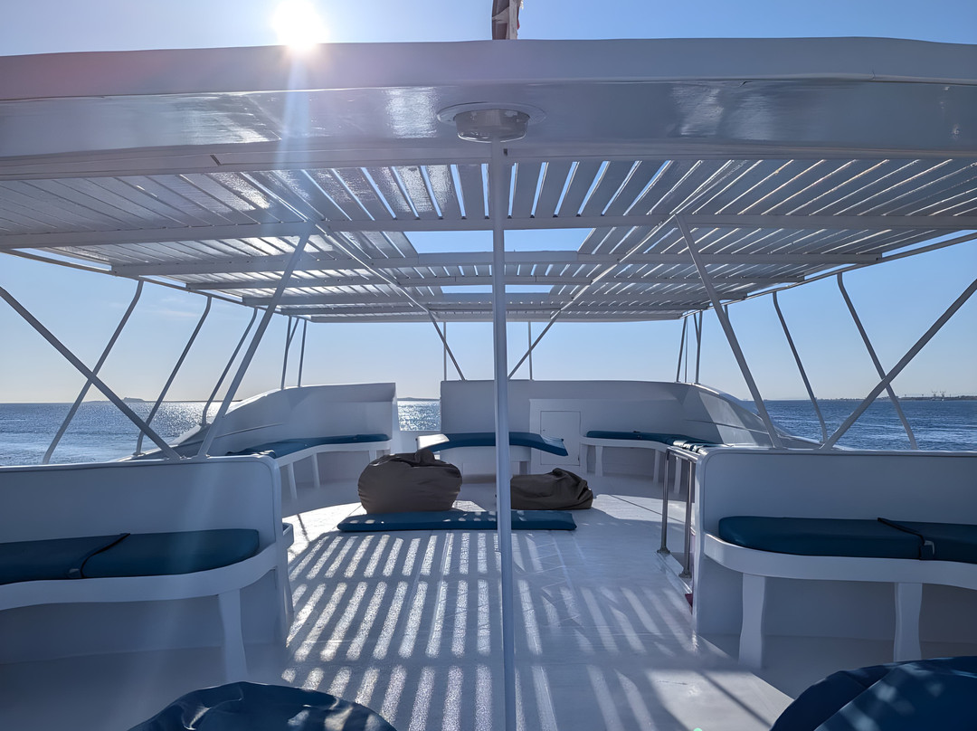 Volkert Dive Center-Safaga必去景点