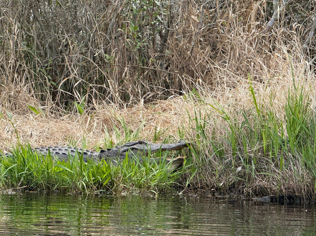 Okefenokee Adventures-Folkston必去景点