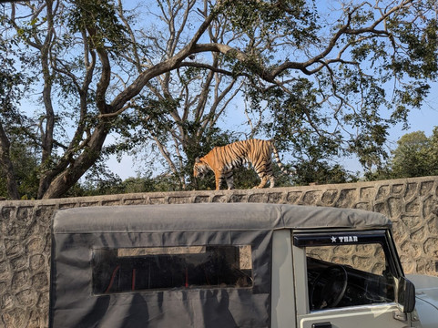 My Rajasthan Trip-斋蒲尔必去景点