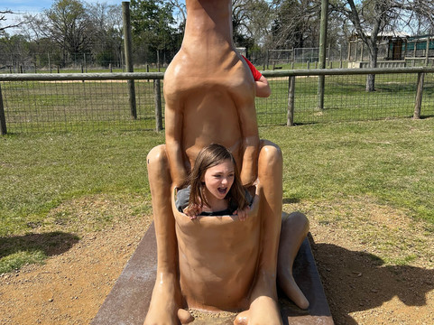 Texas Zoofari Park-Kaufman必去景点