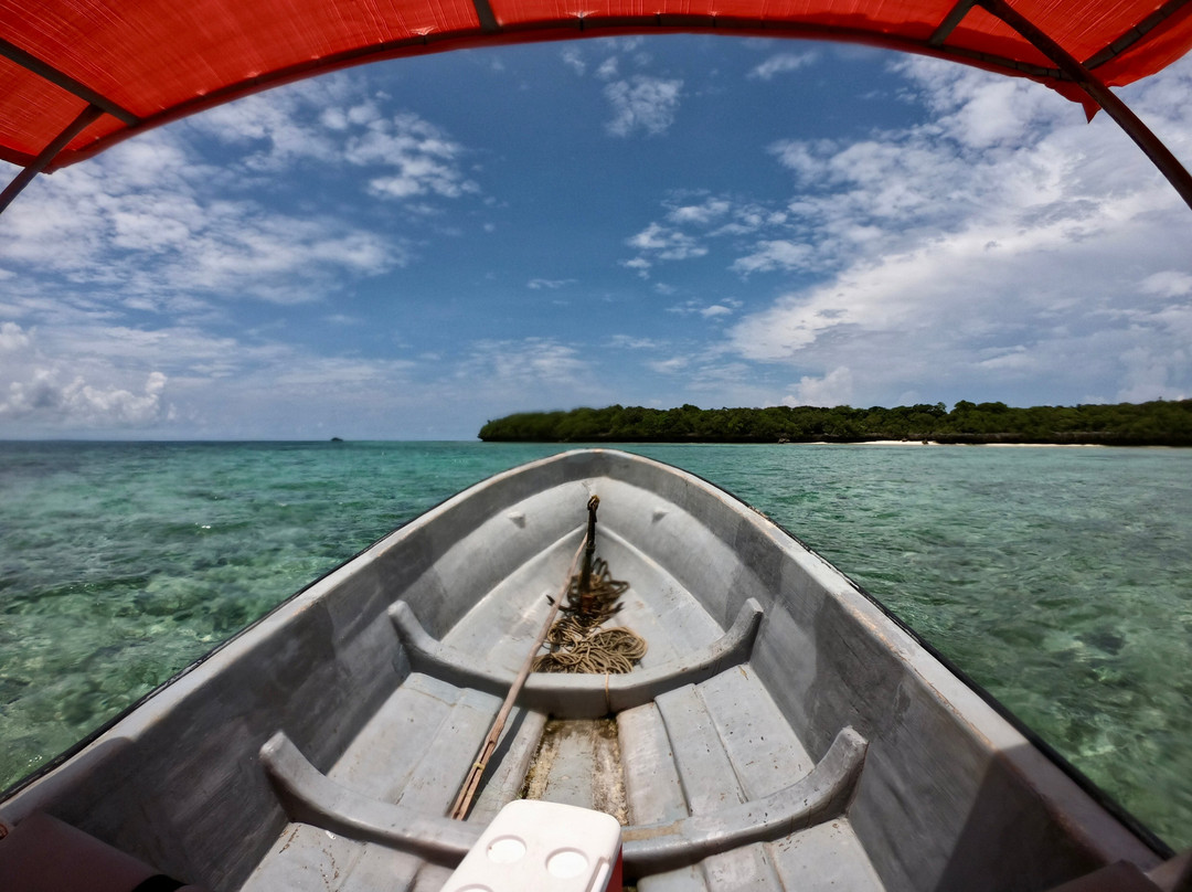Guide Francophone Ahmed Zanzibar-桑给巴尔岛必去景点