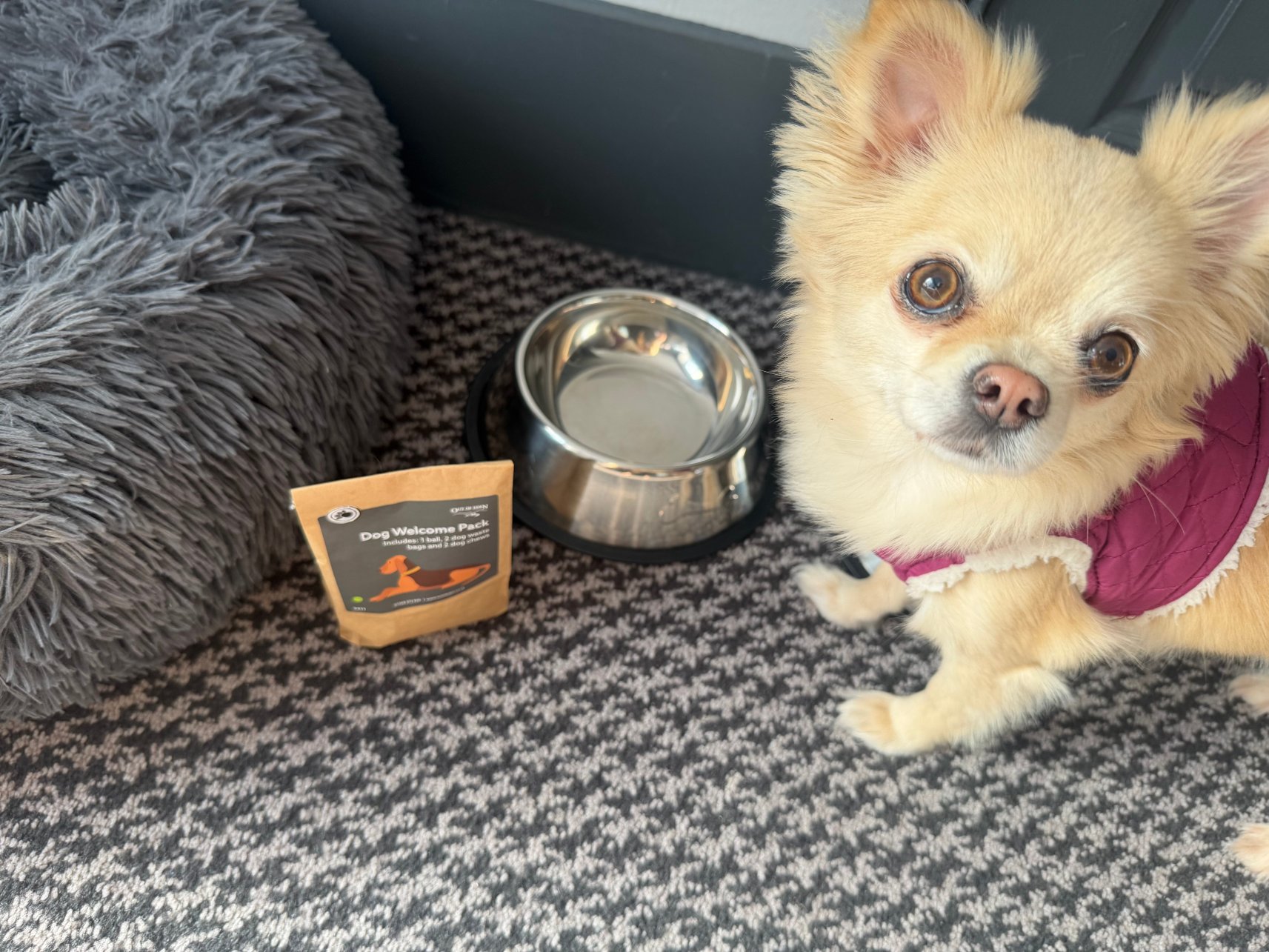 拉特兰大厅酒店-官方