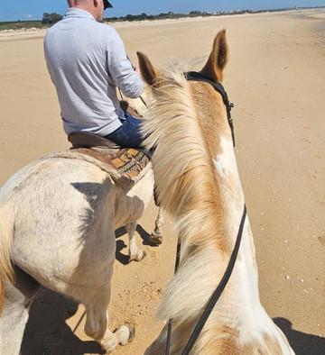 Tavira Equestrian Tourism-塔维拉必去景点
