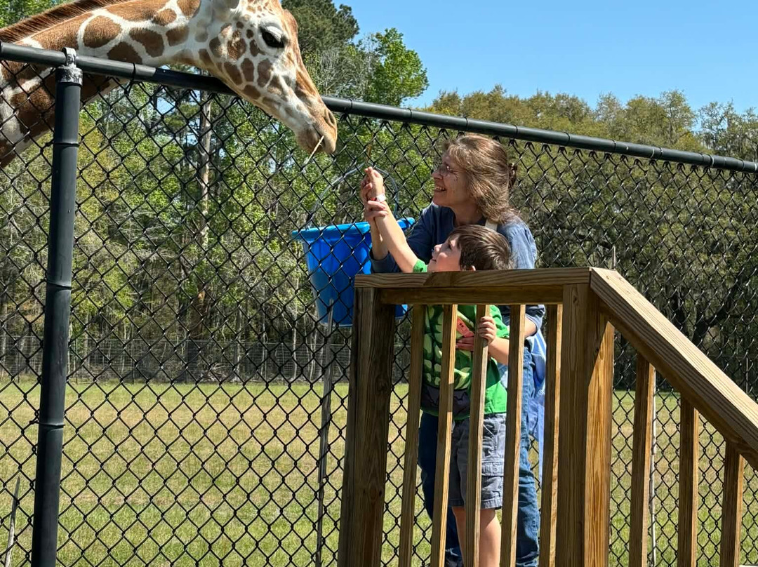 Carson Springs Wildlife Conservation Foundation-盖恩斯维尔必去景点