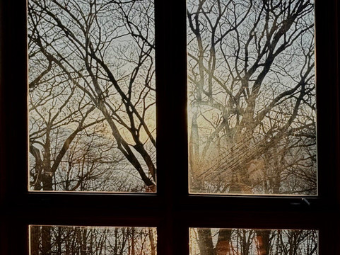 中禅寺金谷酒店主图