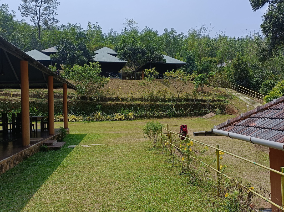 Thattekkadu Bird Sanctuary-Kothamangalam必去景点