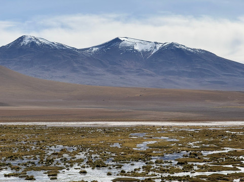 Lagunas Altiplanicas-圣佩德罗-德阿塔卡马必去景点