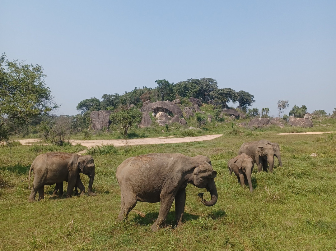 Travel With Asanka-康提必去景点