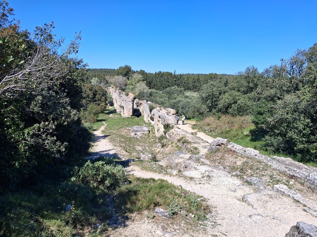 Camargue Alpilles Safaris-阿尔勒必去景点