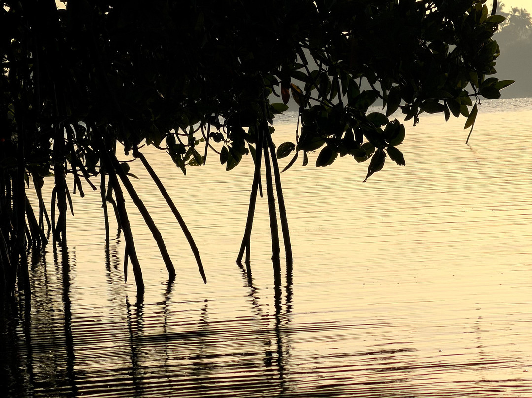 Kayak journey-Rekawa必去景点