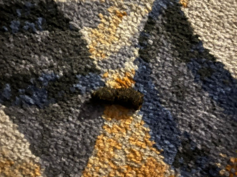 斯劳居家酒店主图