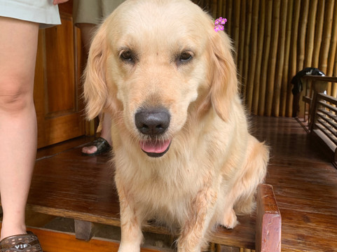 徳布沃克之家酒店主图