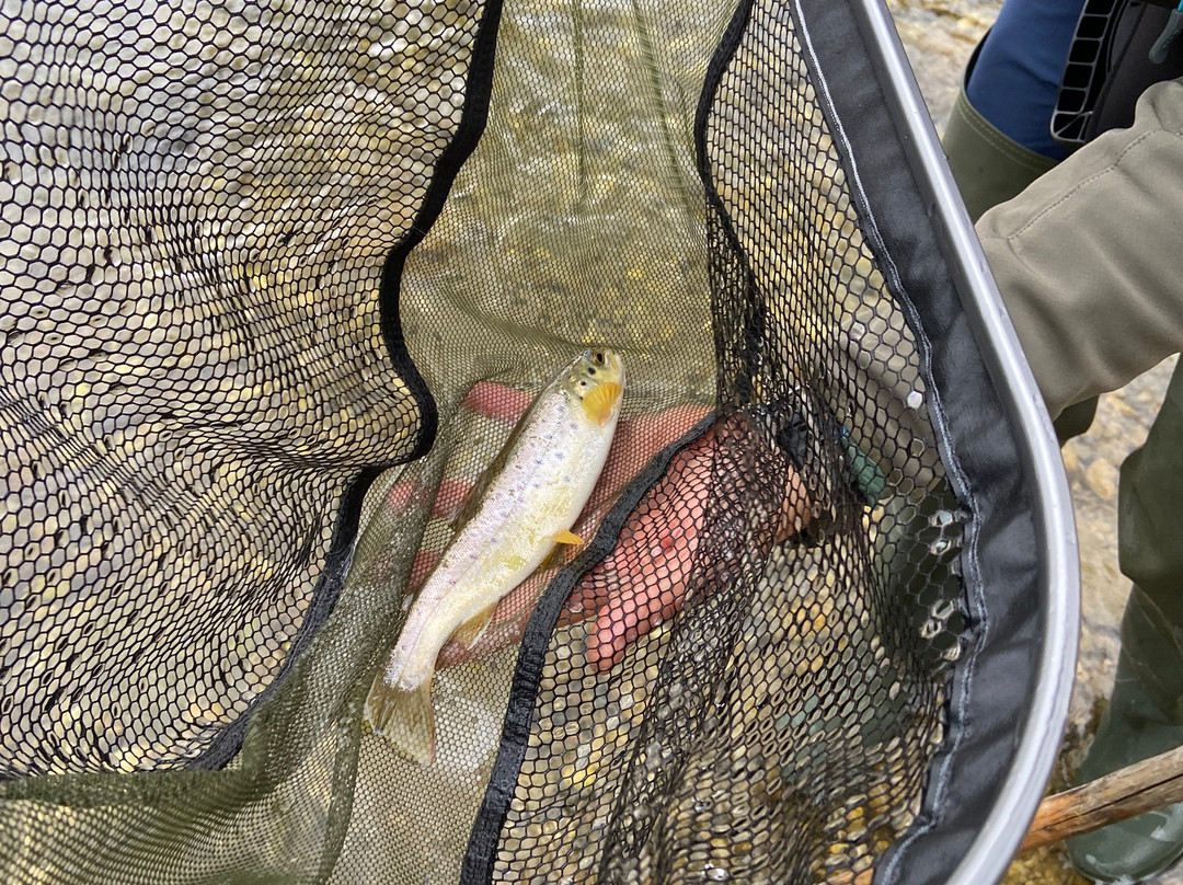 FLY FISHING SICILY outdoor experience-卡塔尼亚必去景点