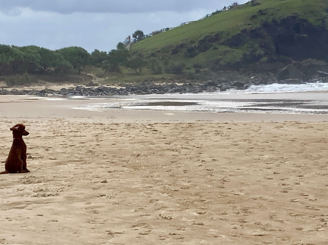 Cabarita Beach-Cabarita Beach必去景点