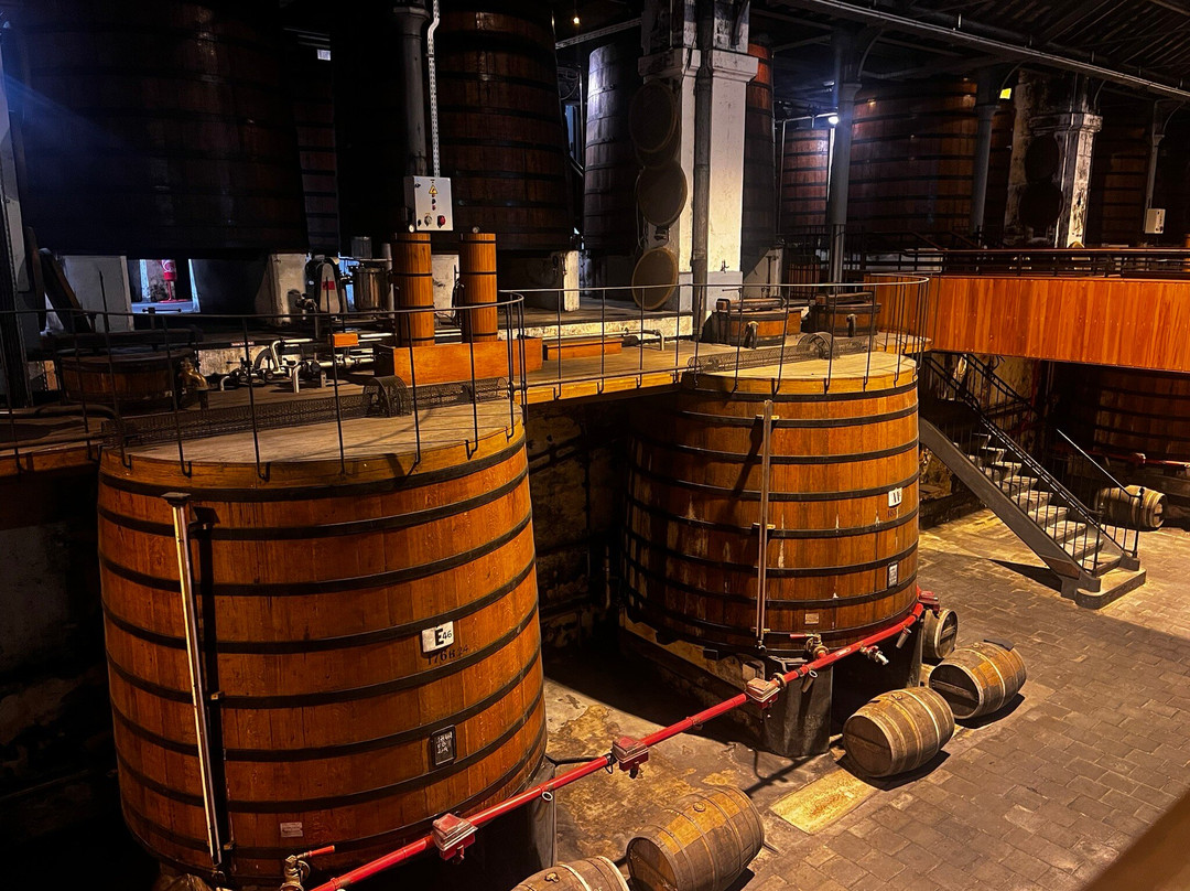 Martell Cognac's Visitors Center-干邑必去景点