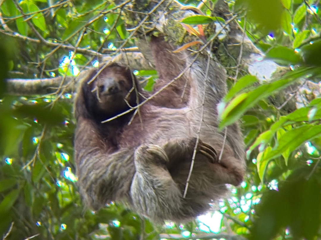 Shaman Tours-Playas del Coco必去景点