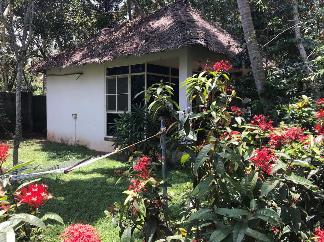 Dr. Franklin's Panchakarma Institute and Ayurveda Centre-提卢湾安塔普兰（特里凡德伦）必去景点