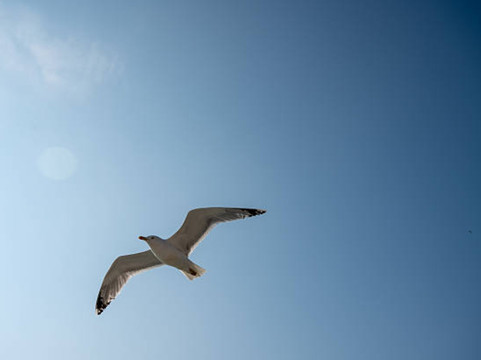 贝尔维尤德尔海湾酒店主图