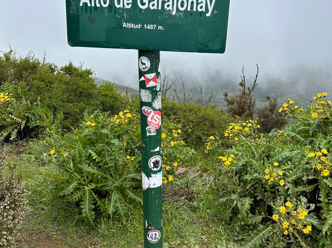 Alto de Garojonay-La Gomera必去景点