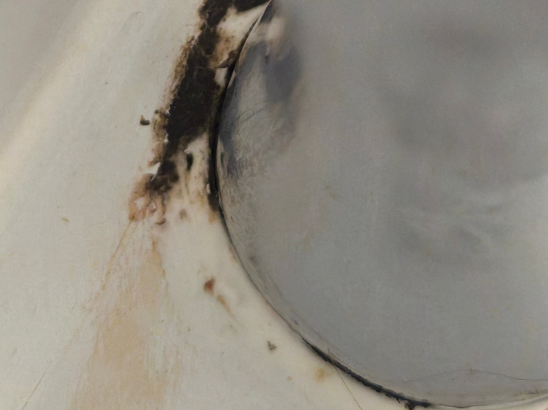 邓巴顿旅客之家酒店主图