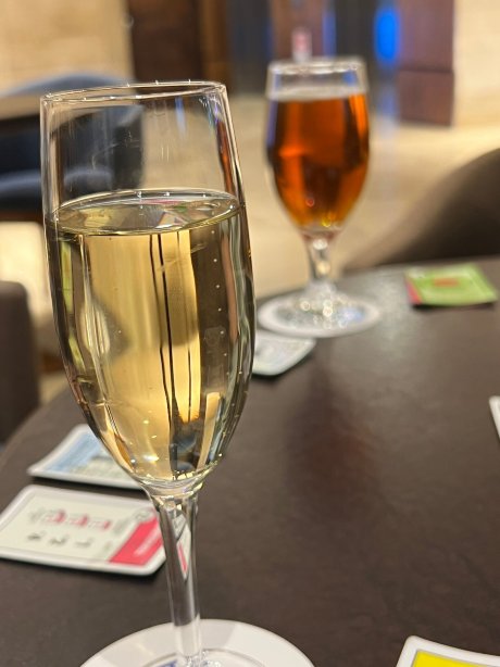 丽笙蓝标广场酒店-圣地亚哥-官方