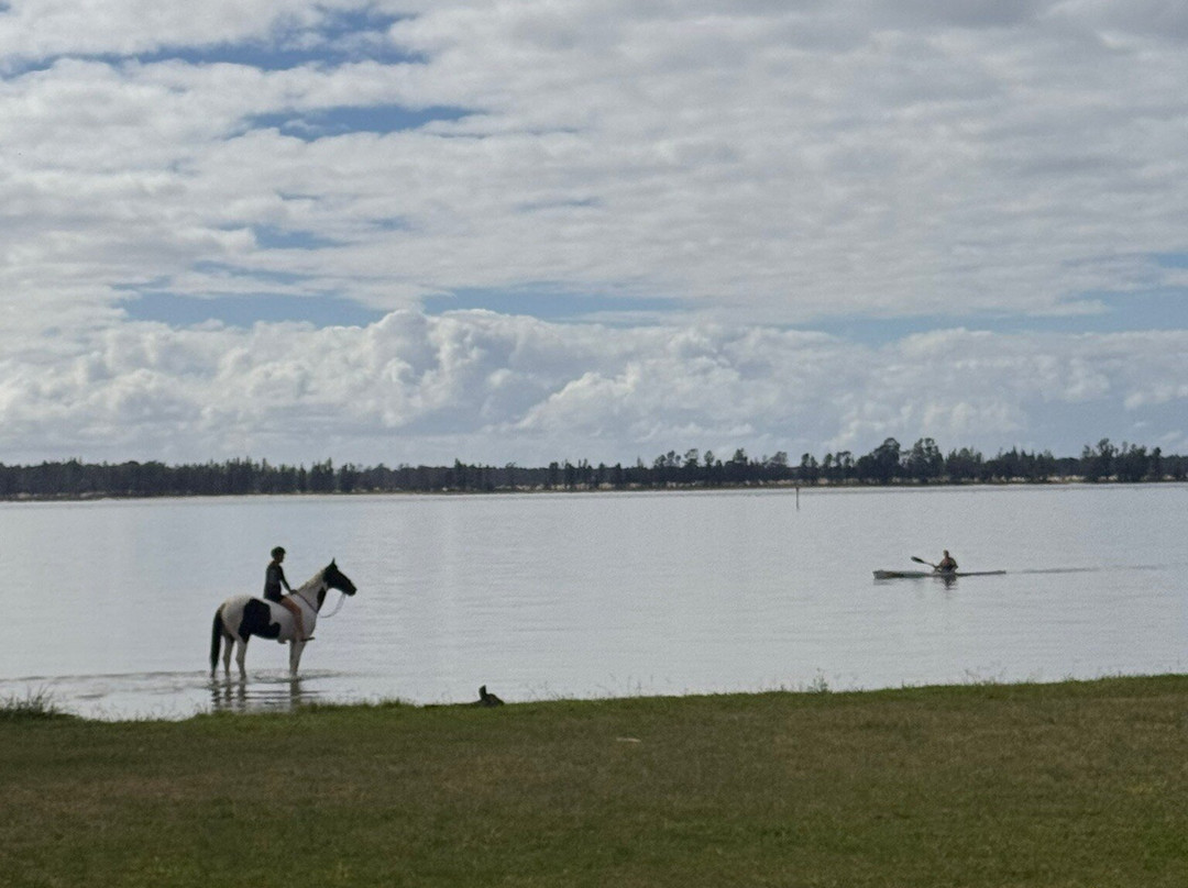 Tuapiro Point-Katikati必去景点