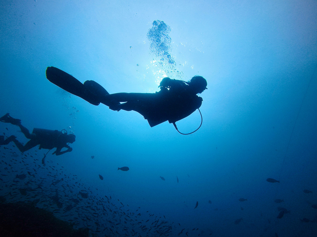 Gypsy Divers Dive Resort-哈夫洛克岛必去景点