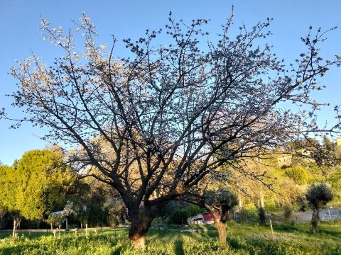 Borgo Rosso Country House B&B-官方