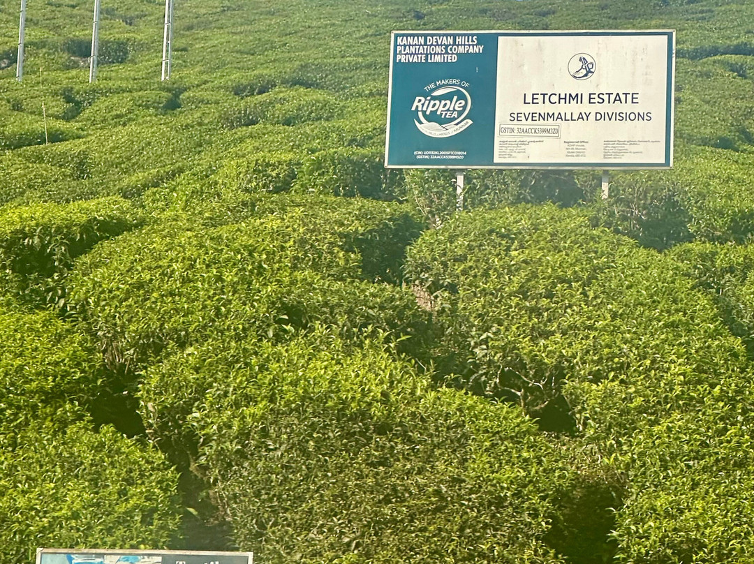 Munnar Hiking Trails-慕那尔必去景点