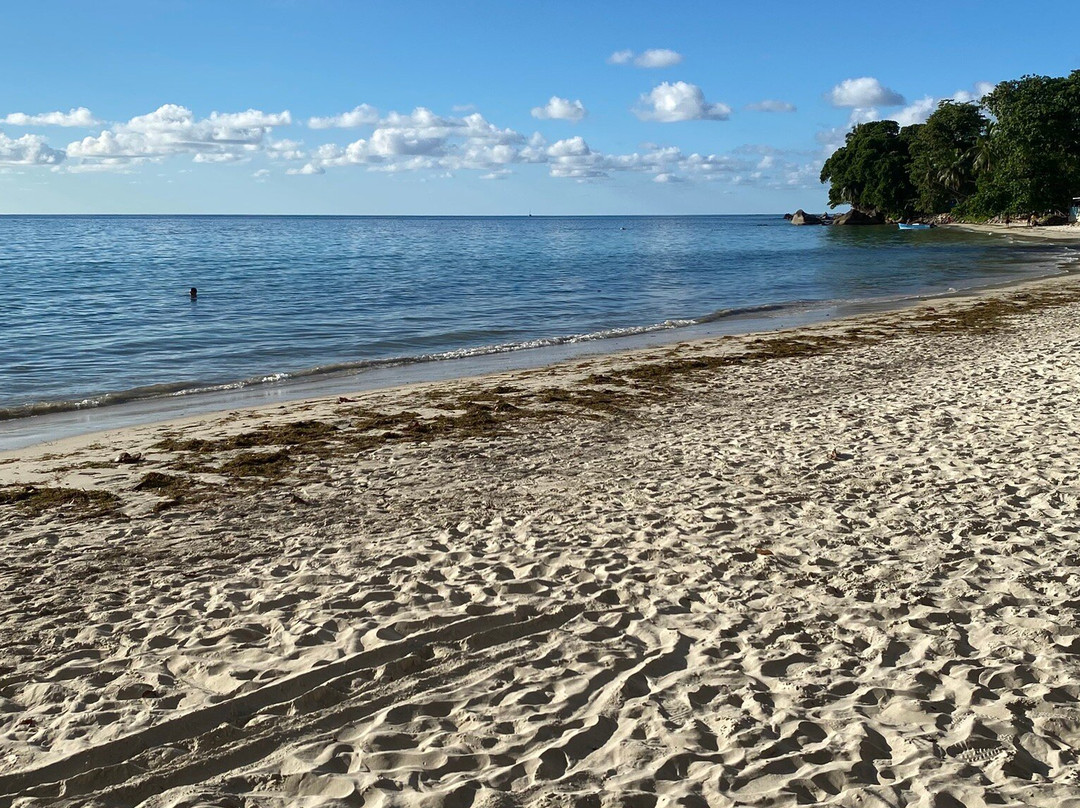 Equinoxe Ecole Seychelloise de Plongee-博瓦隆必去景点