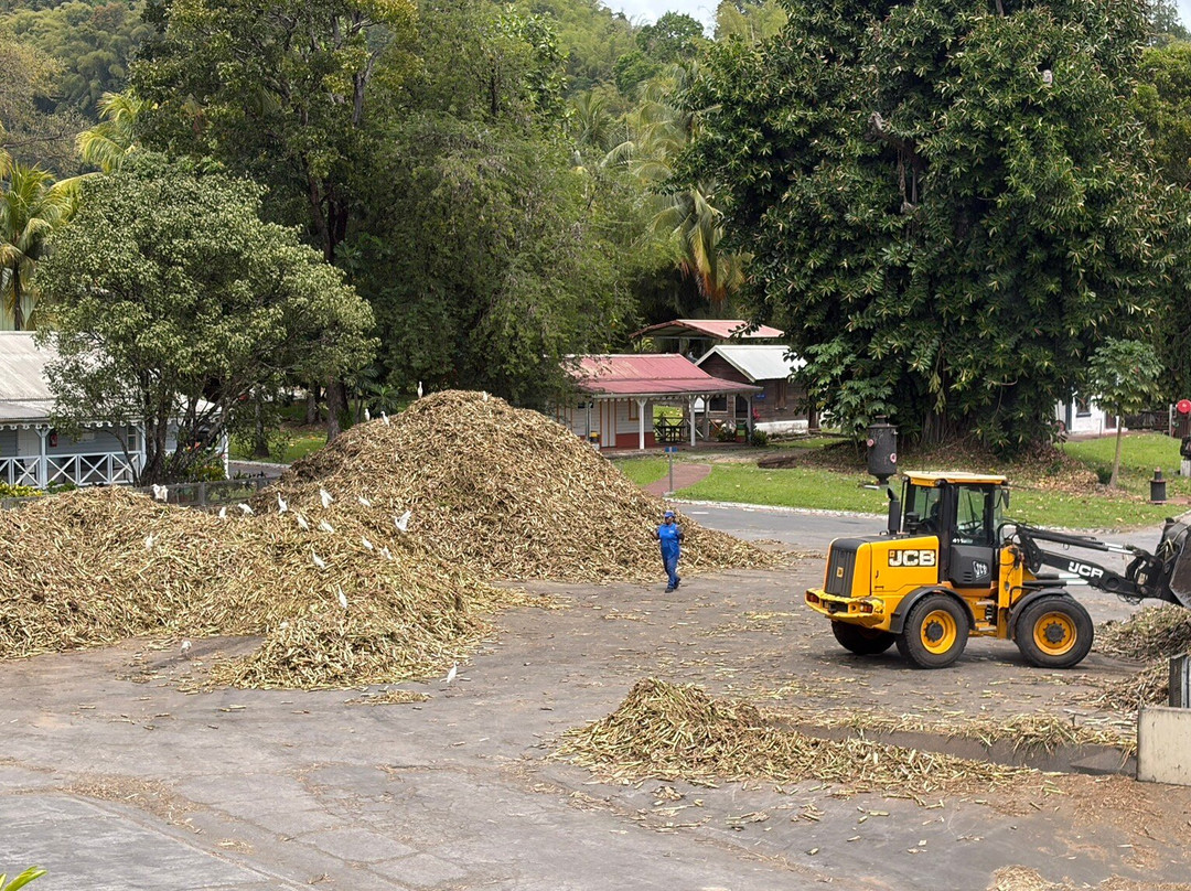 Distillerie Depaz-Saint-Pierre必去景点